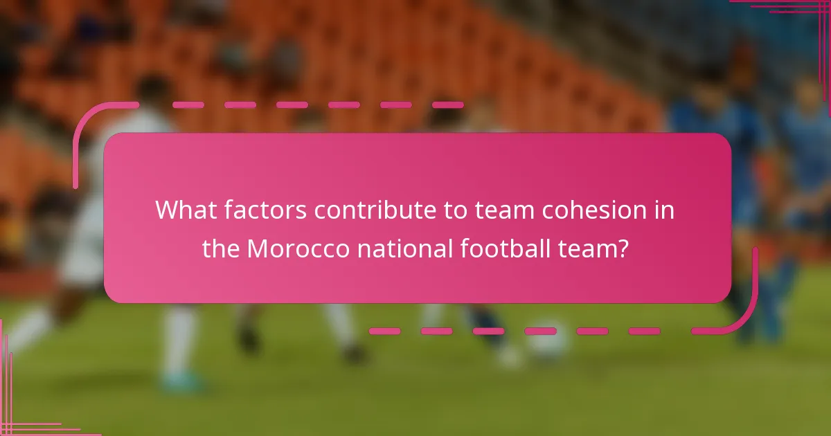What factors contribute to team cohesion in the Morocco national football team?